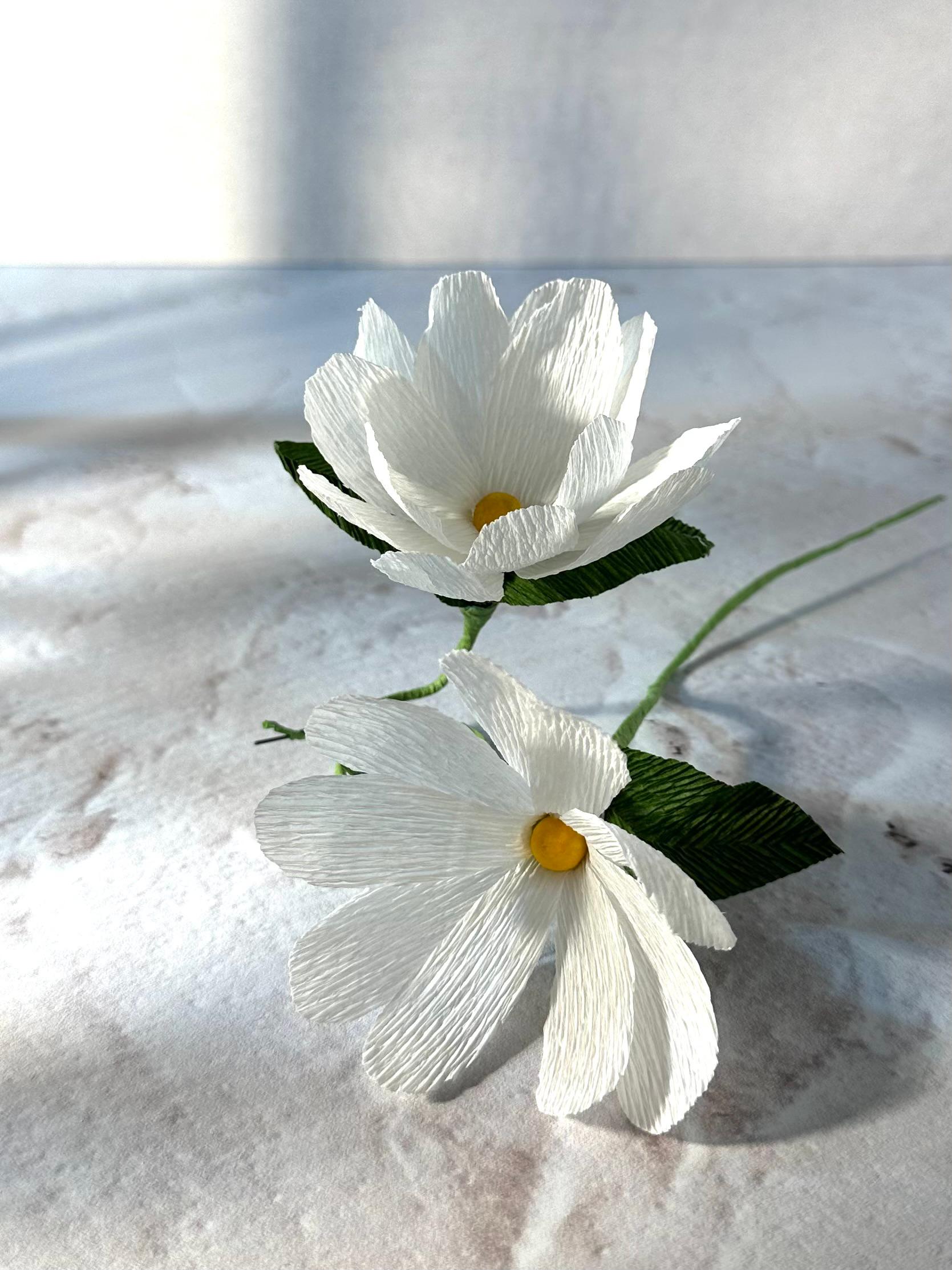 Festa Infantil Completa Casa na Árvore - Imagem 28